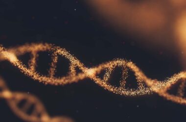 DNA en zwangerschap