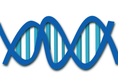DNA, genen en chromosomen