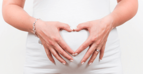 De placenta: moederkoek of nageboorte