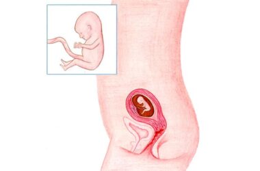 Zwanger Week 13: Je lichaam is gewend aan zwanger zijn